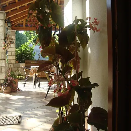 By The Sea Sladjenovici, Dubrovnik - 11531