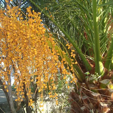 Apartment By The Sea Sladjenovici, Dubrovnik - 11531 *