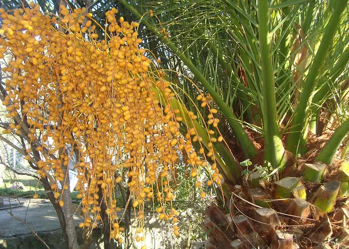 Apartment By The Sea Sladjenovici, Dubrovnik - 11531 *