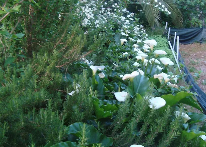 By The Sea Sladjenovici, Dubrovnik - 11531 Apartment Slano